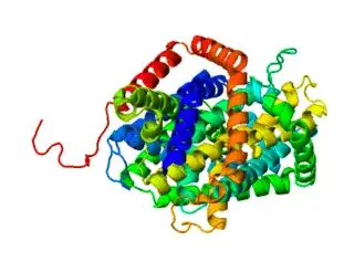 protein