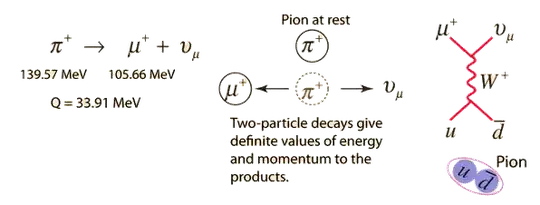 Pion Plus Decay