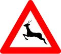 A27: Wild animal crossing