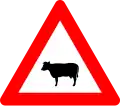 A29: Domestic animal crossing