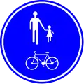 D10: Part of the road reserved for pedestrians and cyclists