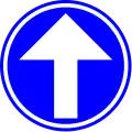 D1a: Requirement to follow the direction indicated by the arrow – straight