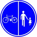 D9a: Part of the road reserved for pedestrians, cyclists and mopeds class A (mofas)