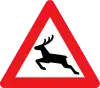 A26: Wild animals