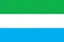 Flag of Konakovo