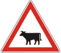 A-023Domestic livestock