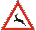 A-024Wild animals