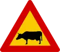 Watch for (large) animals cattle