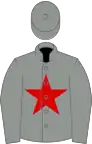 GREY, red star, grey cap