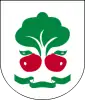 Coat of arms of Belsk Duży