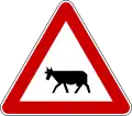 Animals