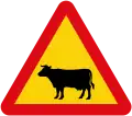Animals (domesticated)